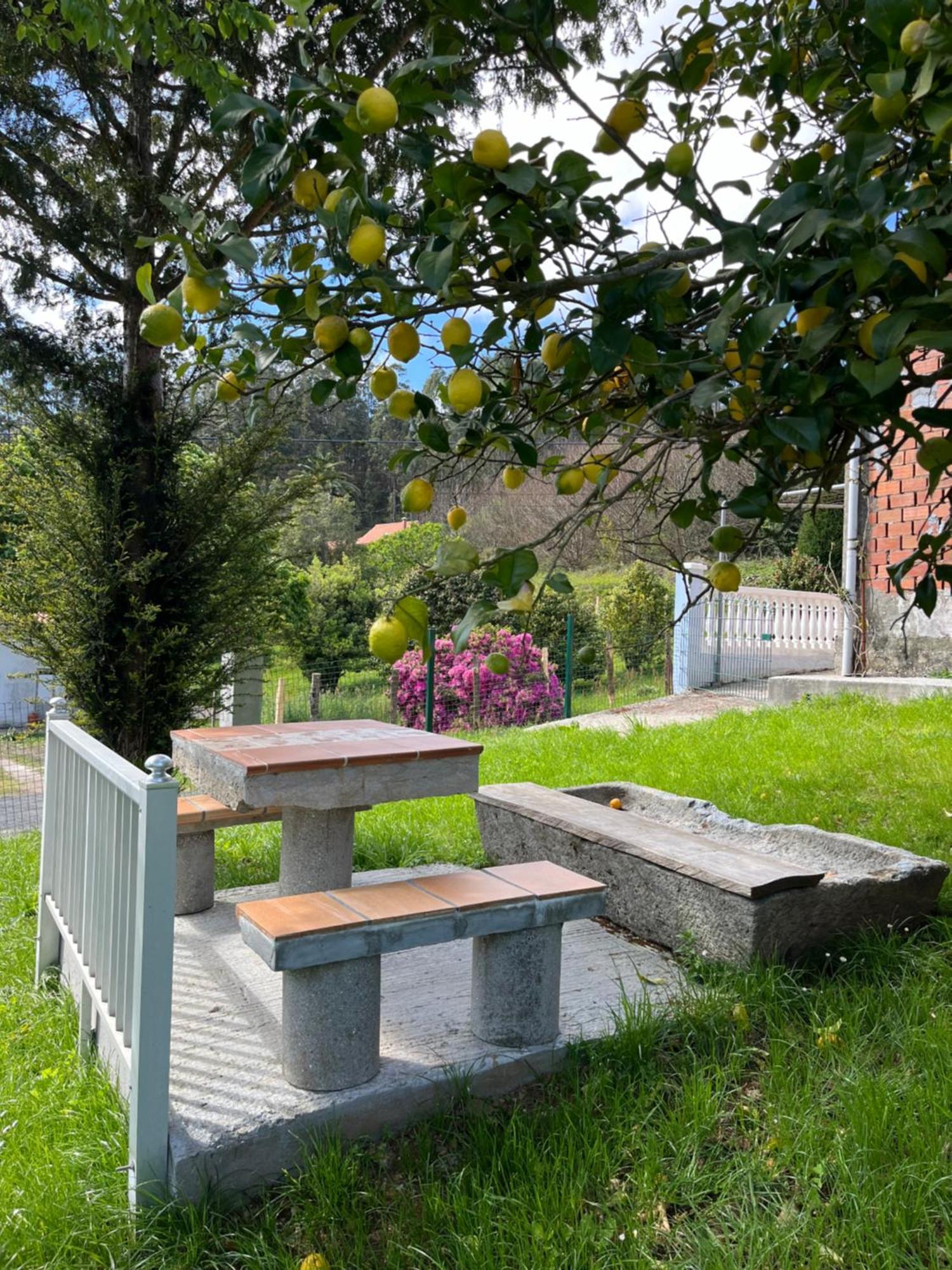 Casa Marina Villa San Martín Eksteriør billede