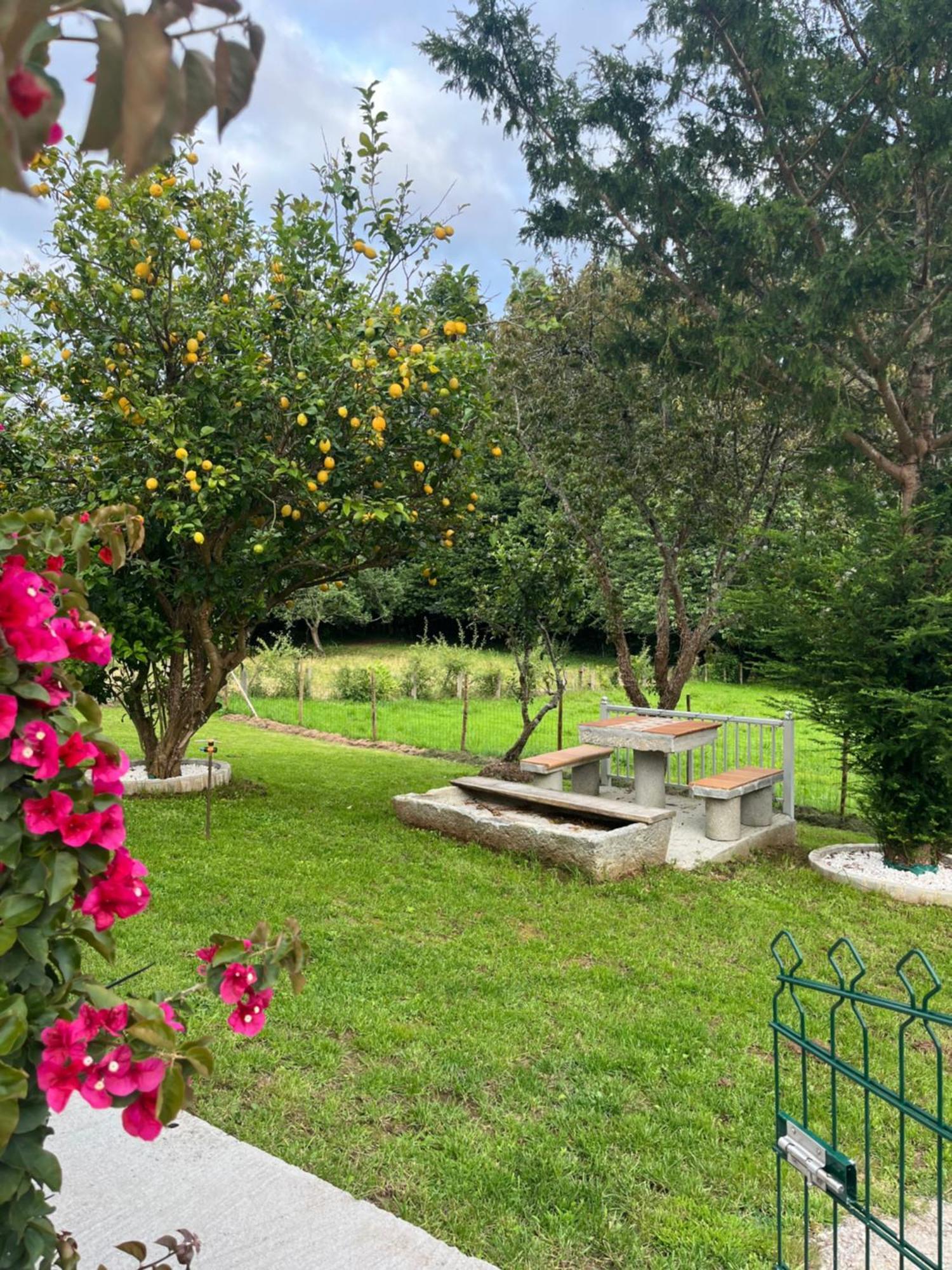 Casa Marina Villa San Martín Eksteriør billede